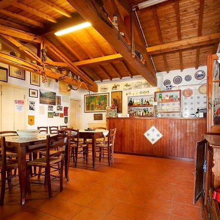La Dimora Degli Etruschi Pansiyon Civitella Cesi Dış mekan fotoğraf