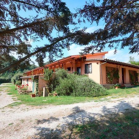 La Dimora Degli Etruschi Pansiyon Civitella Cesi Dış mekan fotoğraf